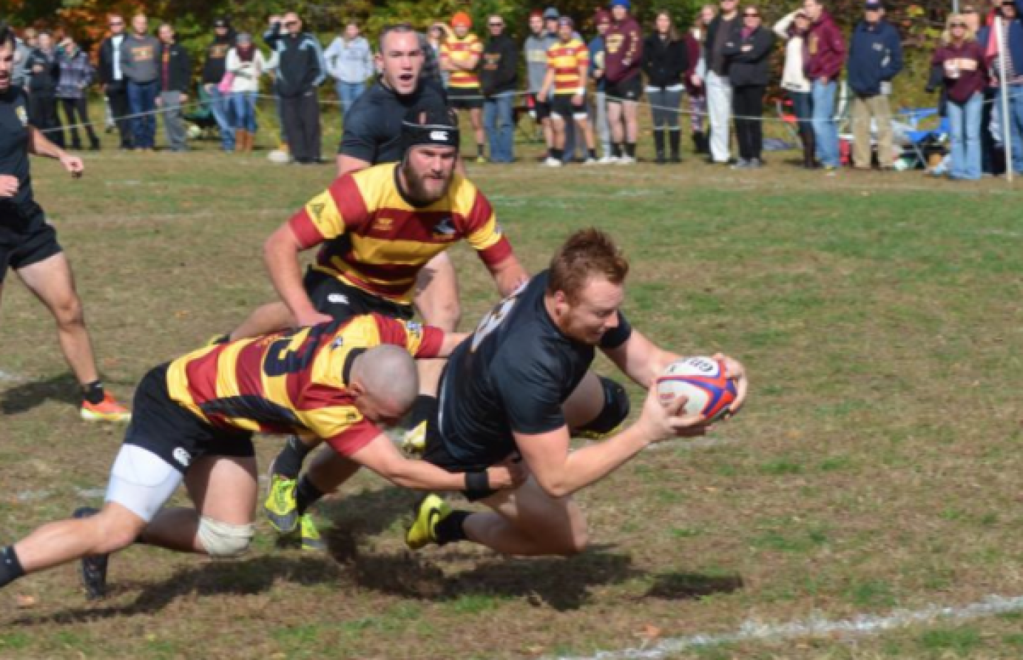 towsonvsalisburynov2014 2 towsonvsalisburynov2014 2