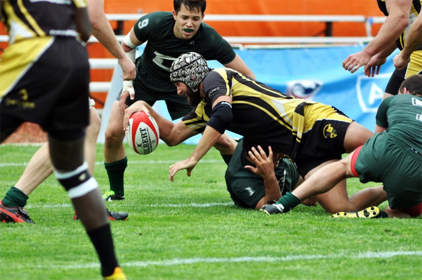 ucf gerhard veit mazzarella ucf gerhard veit mazzarella