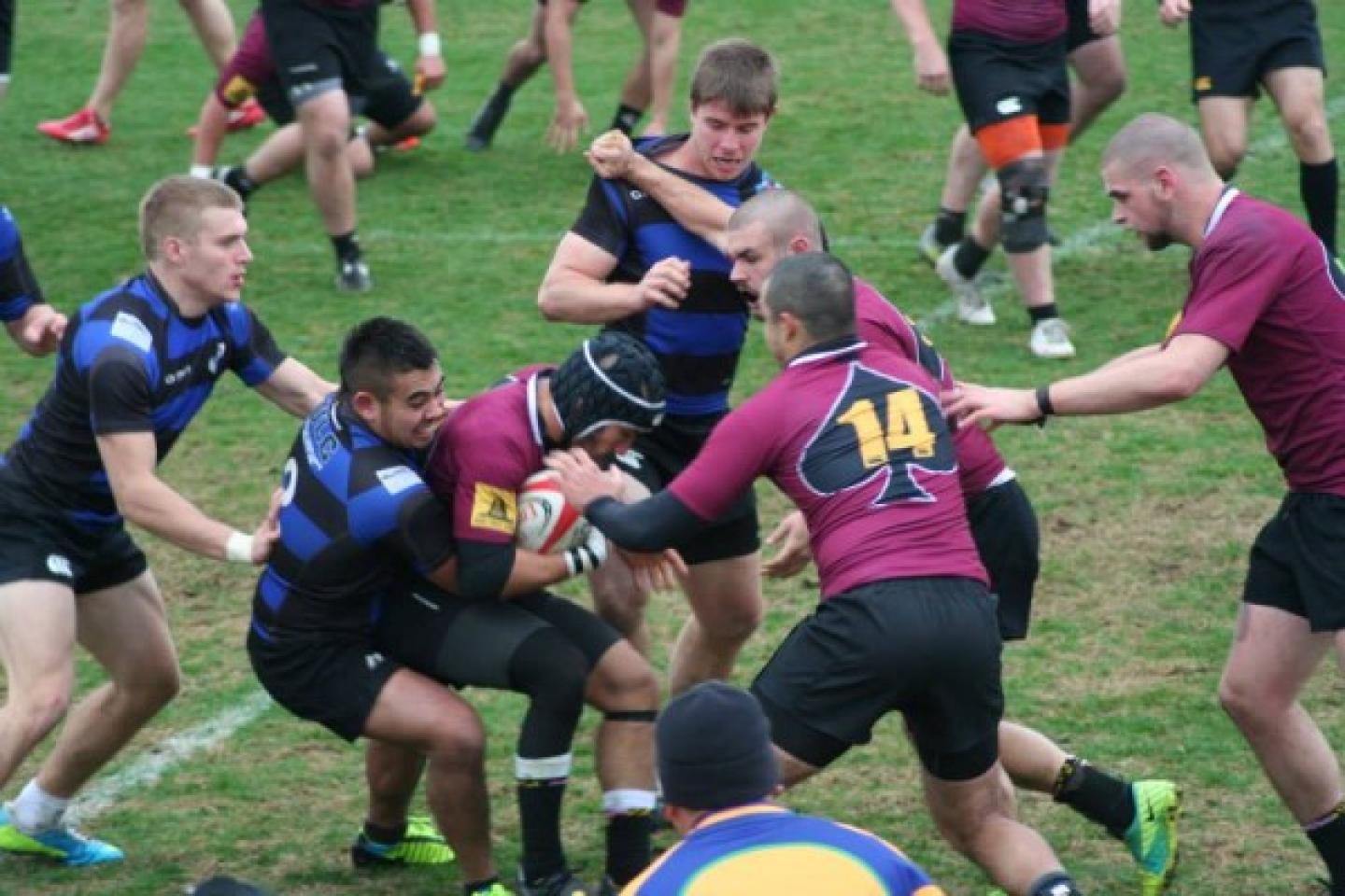 umd salisbury 2013 1 umd salisbury 2013 1