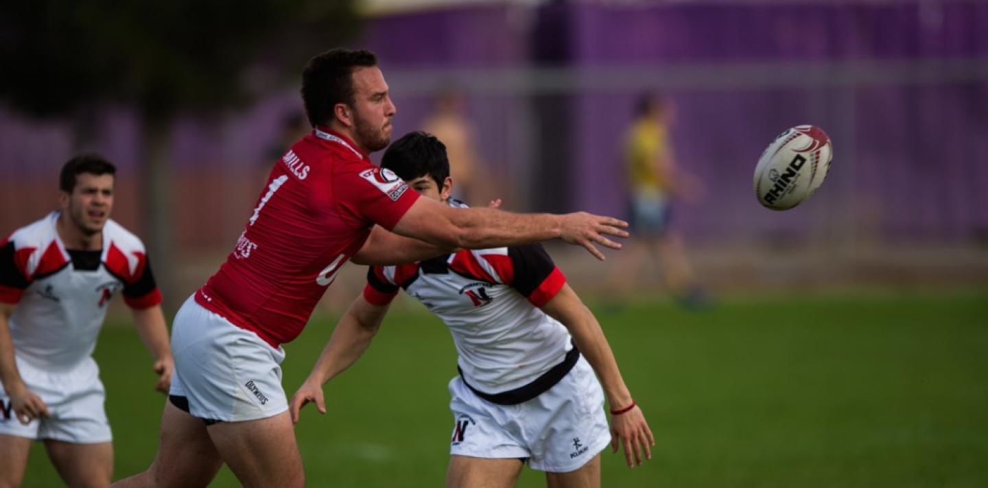 utah lvi d1 barpal 489 utah lvi d1 barpal 489