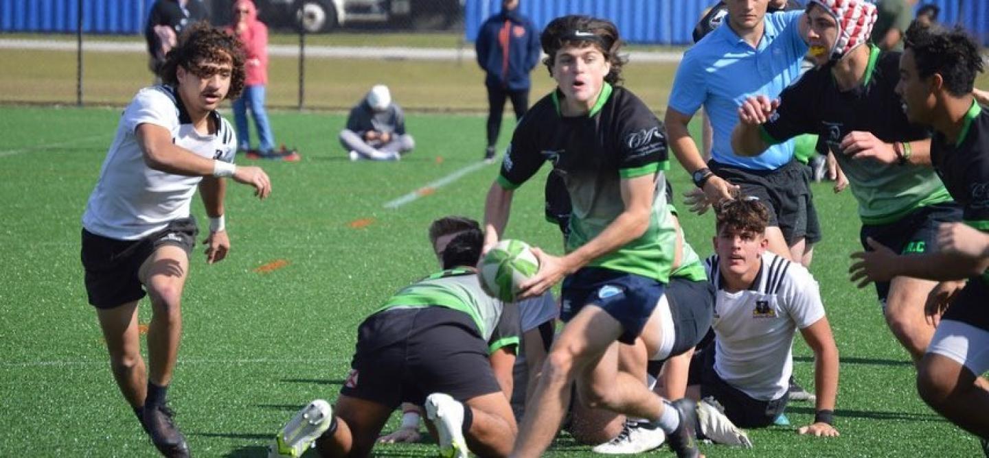 wellington action 2022 2 wellington action 2022 2