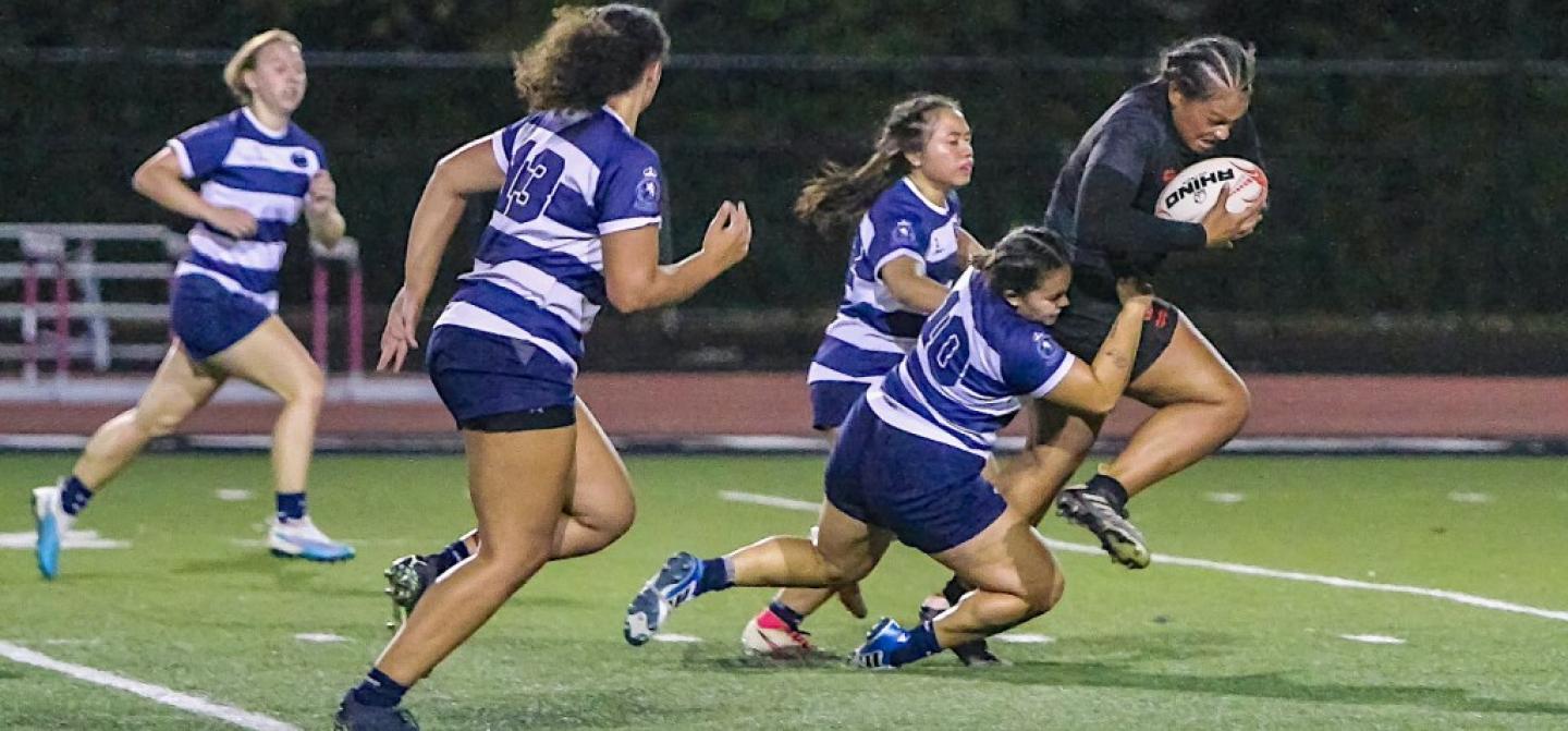 wheeling vs penn state women 2024 terry hancock wheeling vs penn state women 2024 terry hancock