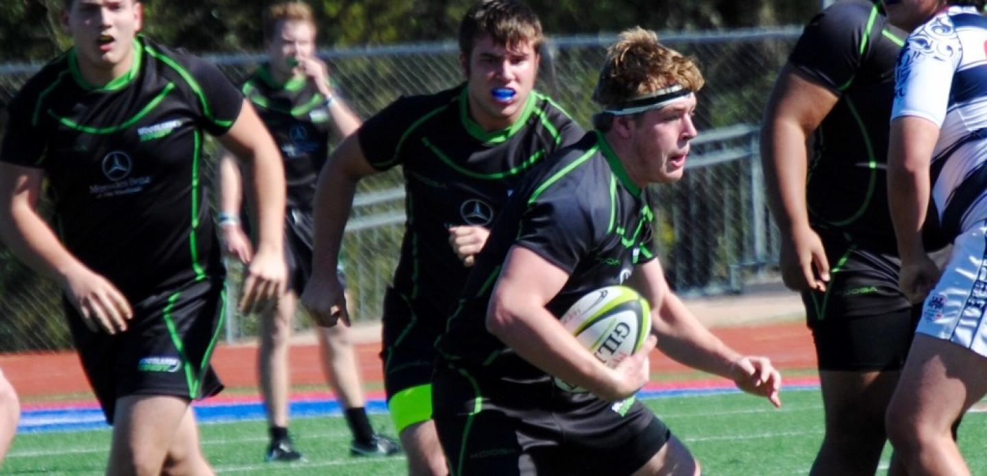 woodlands liz gaunt rayton 2017 2 woodlands liz gaunt rayton 2017 2