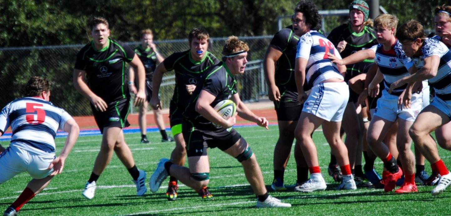 woodlandsvwestlake 2017 liz gaunt rayton 1 woodlandsvwestlake 2017 liz gaunt rayton 1