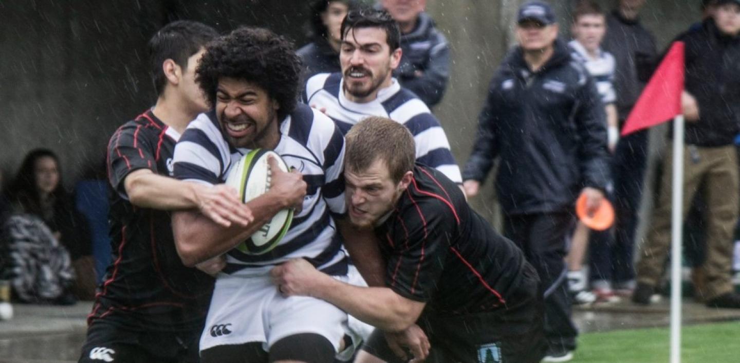 wwuvewu2015 wwuvewu2015